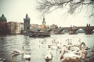 Tajný výlet do Prahy