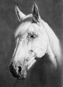 Svatý Martin ve škole