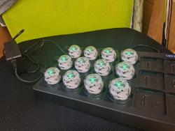 Informatika - Ozoboti