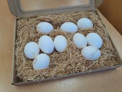 Velikonoční běhačka - rukodělná.