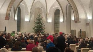 Vánoční koncert školy